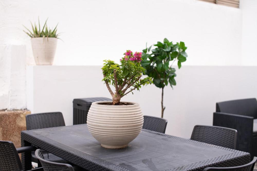 Sublet Tlv 270