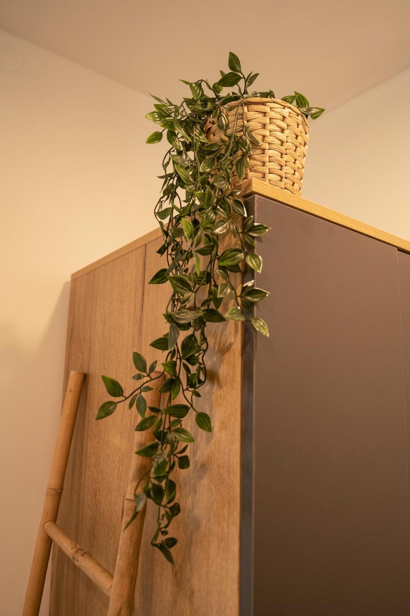 Sublet Tlv 270